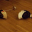 Fencing at the club